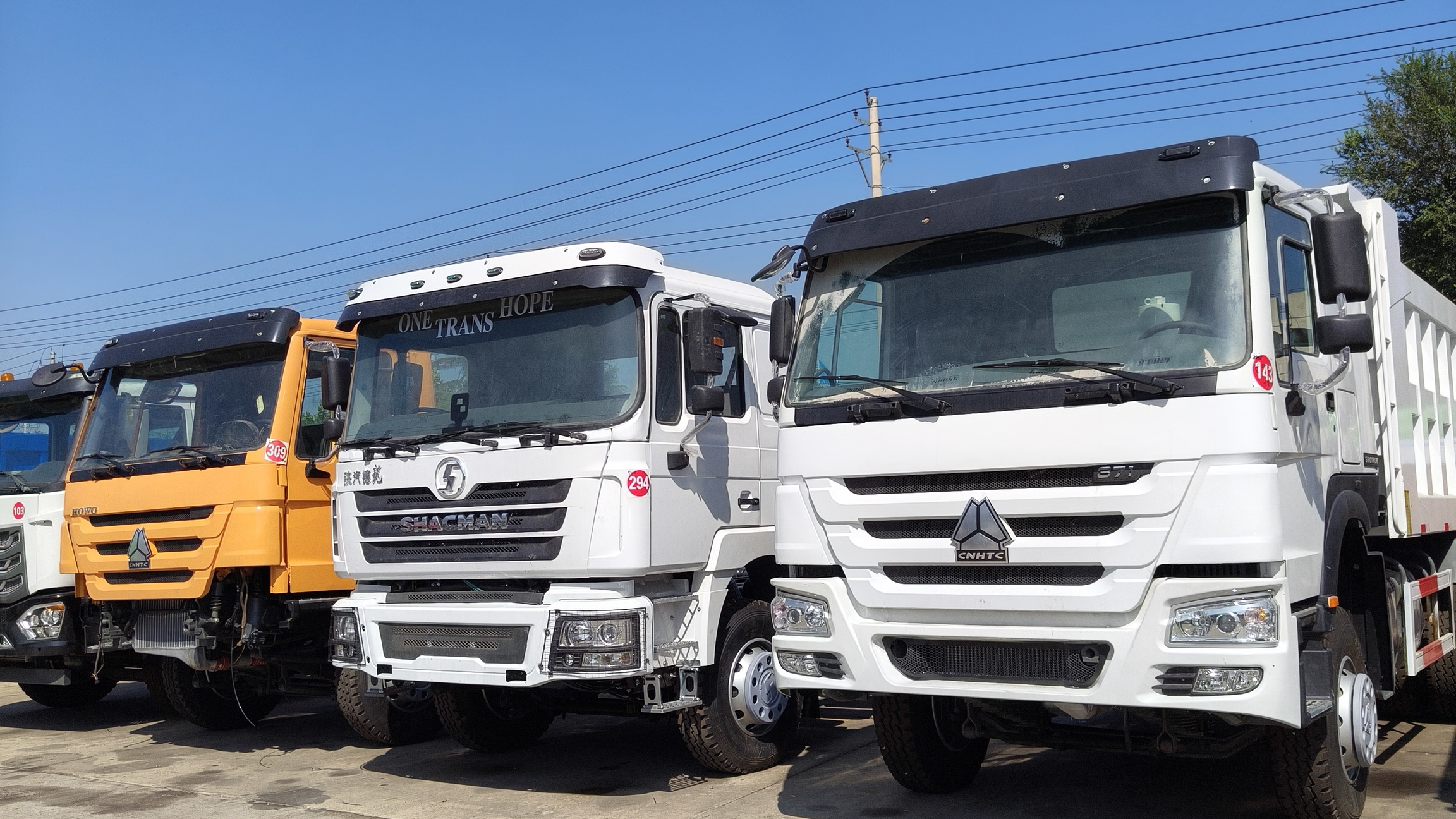 HOWO 371 and other dump trucks lined up at a supplier yard in Shandong